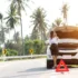 Hybrid vs Electric Cars — What’s the Right Choice for U.S. Drivers in 2025?